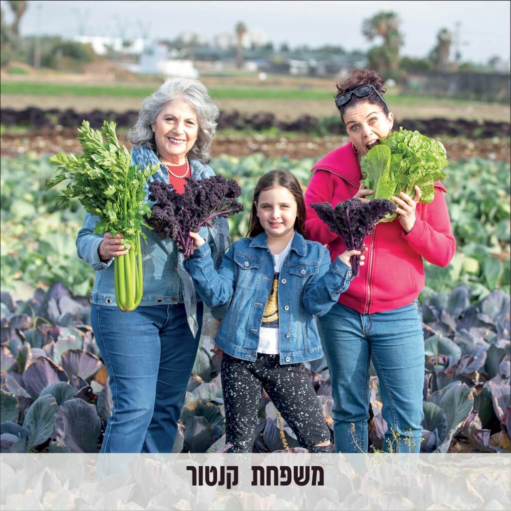 משפחת קנטור