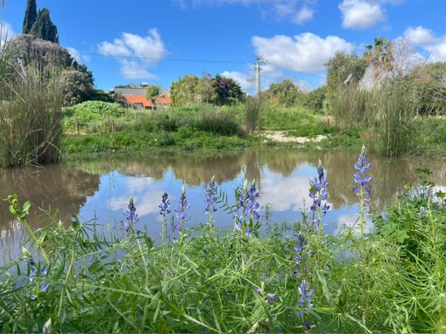 סיור – הטבע מתעורר