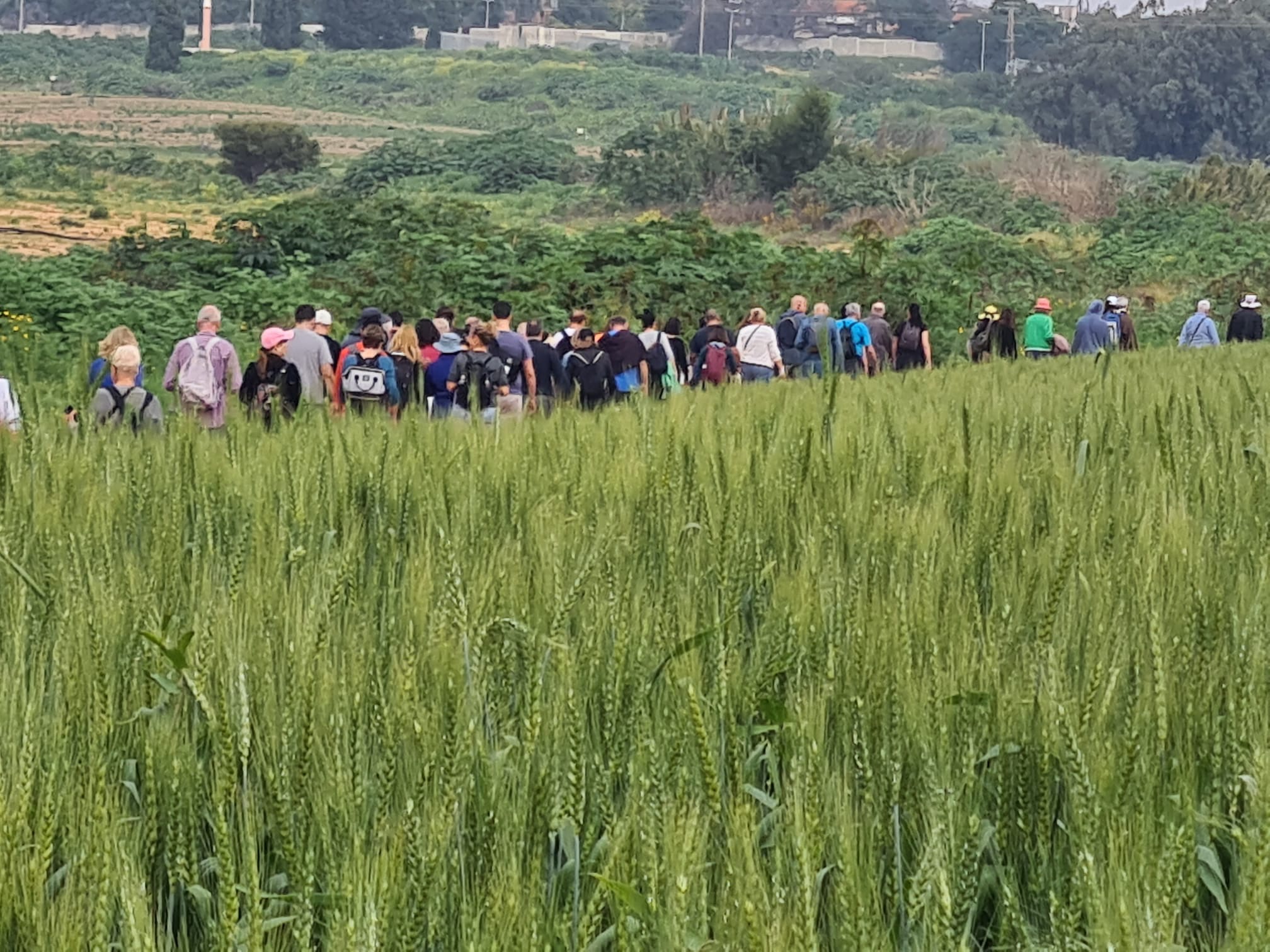 נחל אחיה- סיור ציפורים