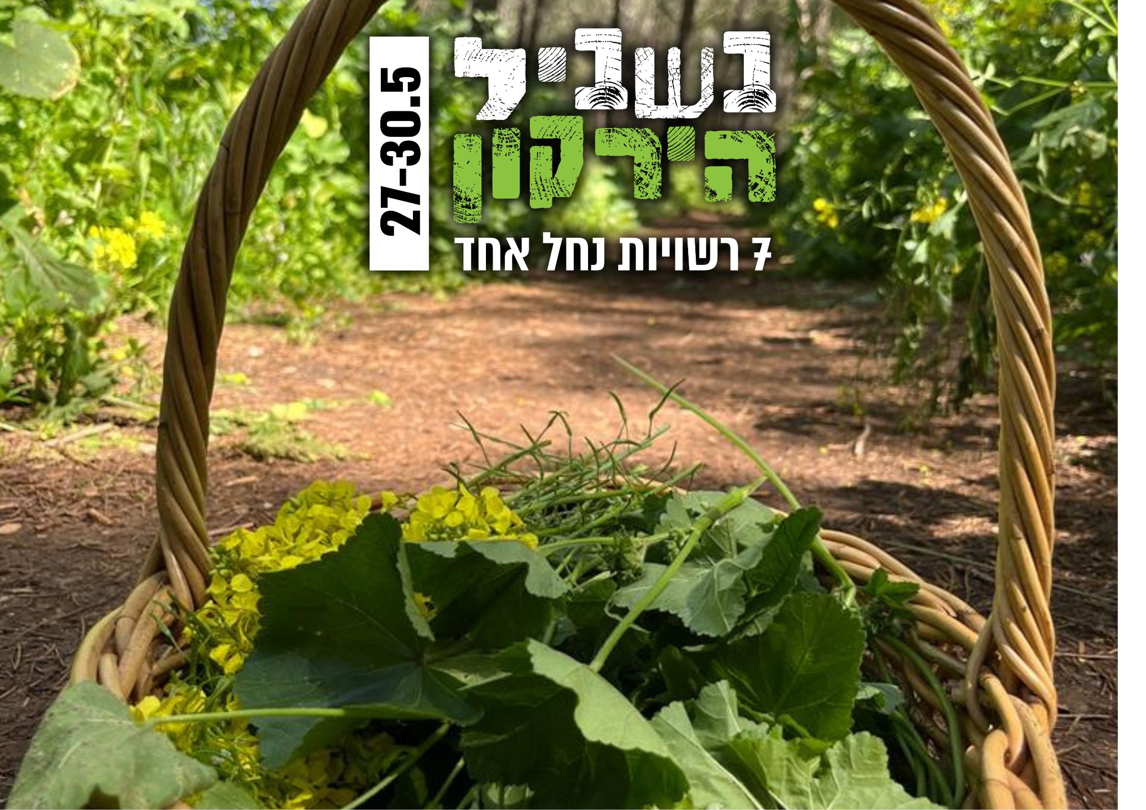 סיור ליקוט נחל פרדסים