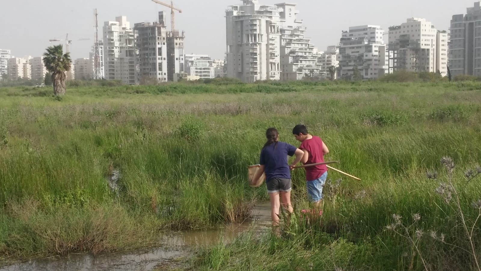 "טבע עירוני בשולי העיר"  – הרצאה משולבת בסיור ונסיעה בטרקטור בכפר הירוק (למבוגרים)